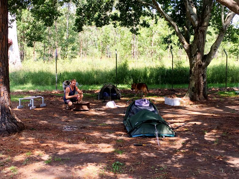 campsite with dogs and swags