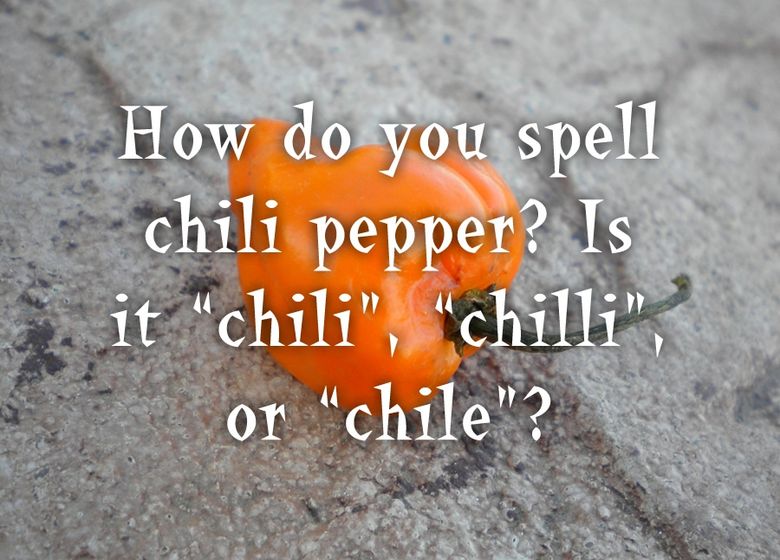 how do you spell chilli?